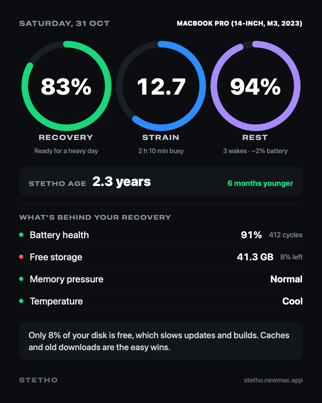 A Stetho card: Recovery 83%, Strain 12.7, Rest 94% and Stetho Age 2.3 years, with what's behind the score